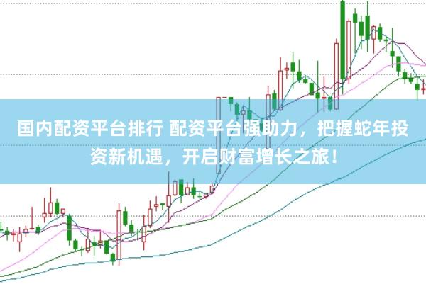 国内配资平台排行 配资平台强助力，把握蛇年投资新机遇，开启财富增长之旅！