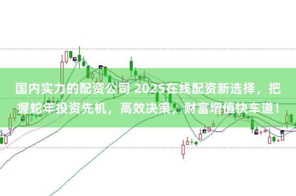 国内实力的配资公司 2025在线配资新选择，把握蛇年投资先机，高效决策，财富增值快车道！