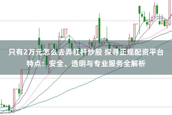 只有2万元怎么去弄杠杆炒股 探寻正规配资平台特点：安全、透明与专业服务全解析