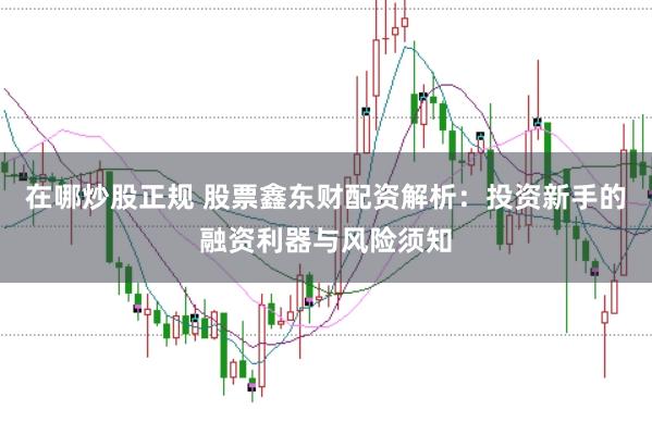 在哪炒股正规 股票鑫东财配资解析：投资新手的融资利器与风险须知