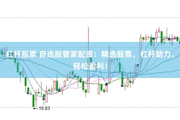 杠杆股票 自选股管家配资：精选股票，杠杆助力，轻松盈利！