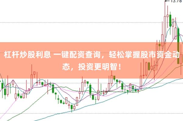 杠杆炒股利息 一键配资查询，轻松掌握股市资金动态，投资更明智！