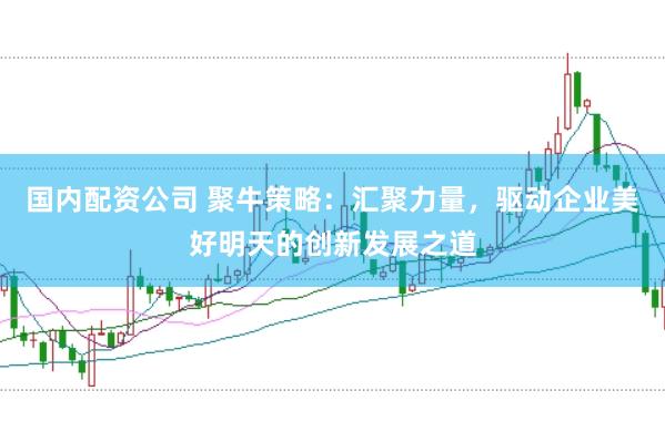 国内配资公司 聚牛策略：汇聚力量，驱动企业美好明天的创新发展之道