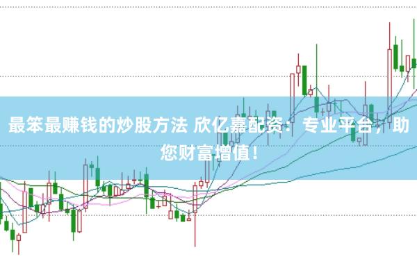 最笨最赚钱的炒股方法 欣亿嘉配资：专业平台，助您财富增值！