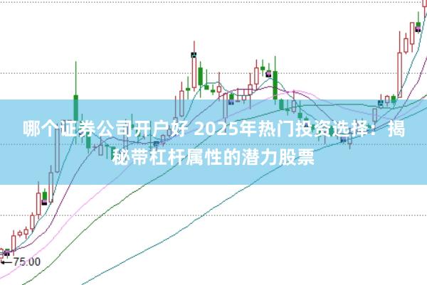 哪个证券公司开户好 2025年热门投资选择：揭秘带杠杆属性的潜力股票