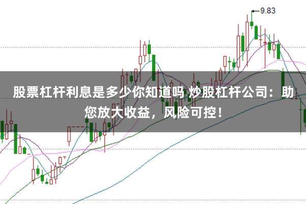 股票杠杆利息是多少你知道吗 炒股杠杆公司：助您放大收益，风险可控！