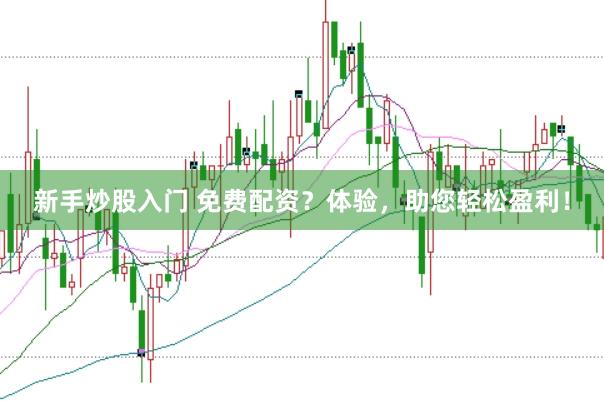 新手炒股入门 免费配资？体验，助您轻松盈利！