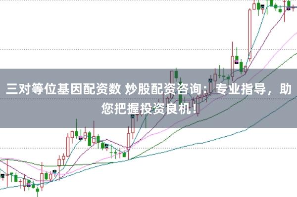 三对等位基因配资数 炒股配资咨询：专业指导，助您把握投资良机！
