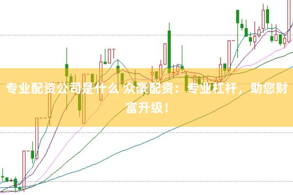 专业配资公司是什么 众豪配资：专业杠杆，助您财富升级！