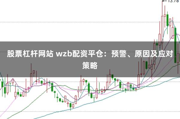 股票杠杆网站 wzb配资平仓：预警、原因及应对策略