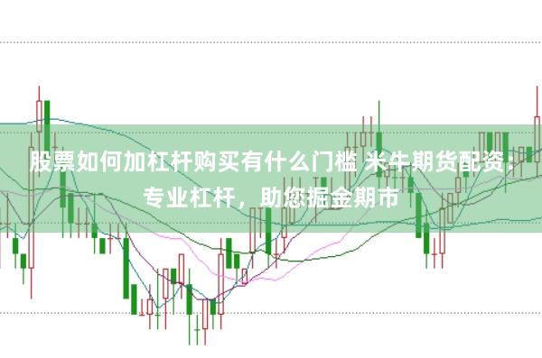 股票如何加杠杆购买有什么门槛 米牛期货配资：专业杠杆，助您掘金期市