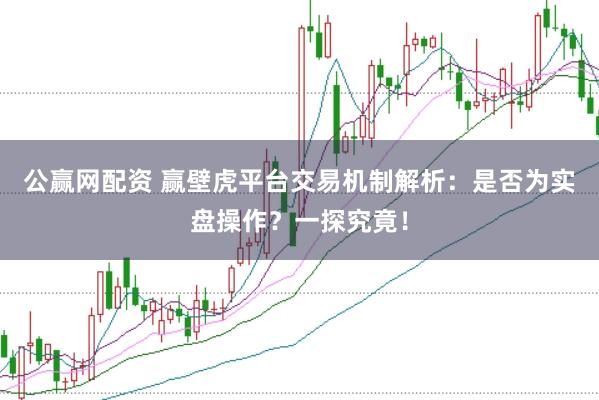 公赢网配资 赢壁虎平台交易机制解析：是否为实盘操作？一探究竟！