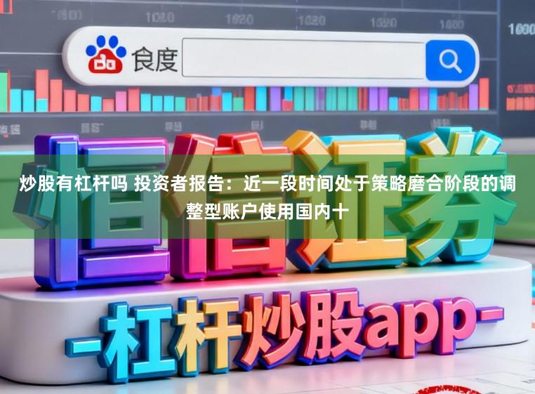 炒股有杠杆吗 投资者报告：近一段时间处于策略磨合阶段的调整型账户使用国内十