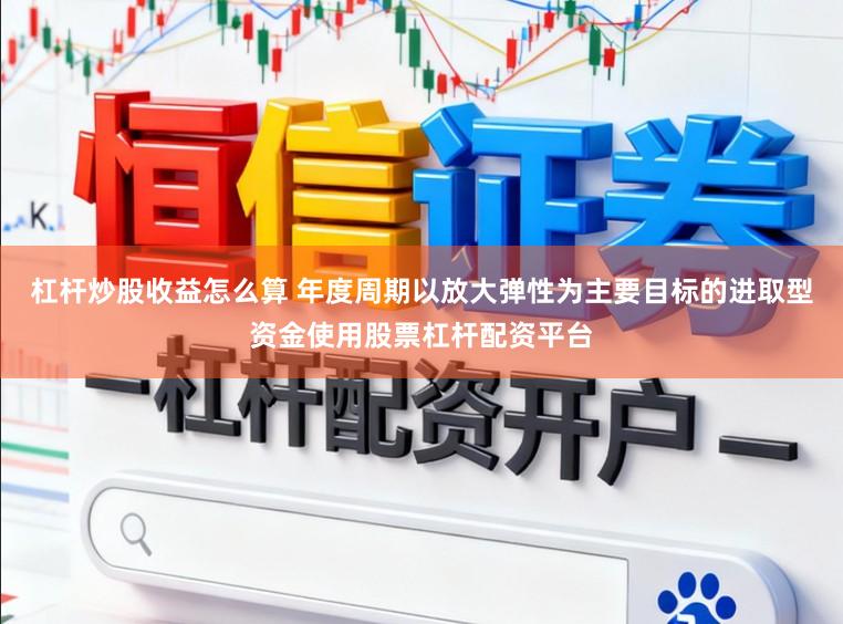 杠杆炒股收益怎么算 年度周期以放大弹性为主要目标的进取型资金使用股票杠杆配资平台