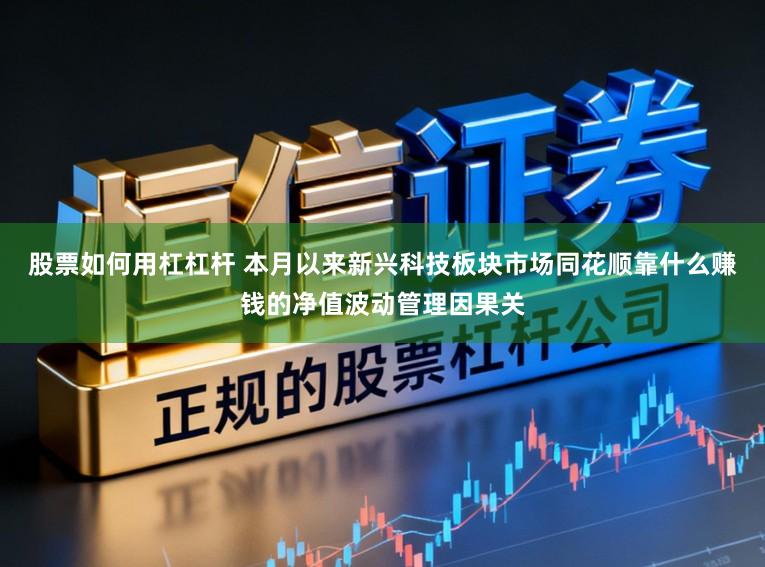 股票如何用杠杠杆 本月以来新兴科技板块市场同花顺靠什么赚钱的净值波动管理因果关