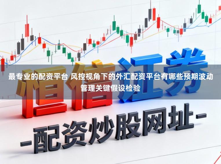最专业的配资平台 风控视角下的外汇配资平台有哪些预期波动管理关键假设检验