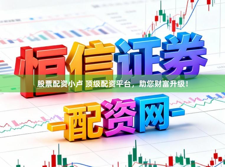 股票配资小卢 顶级配资平台,助您财富升级!
