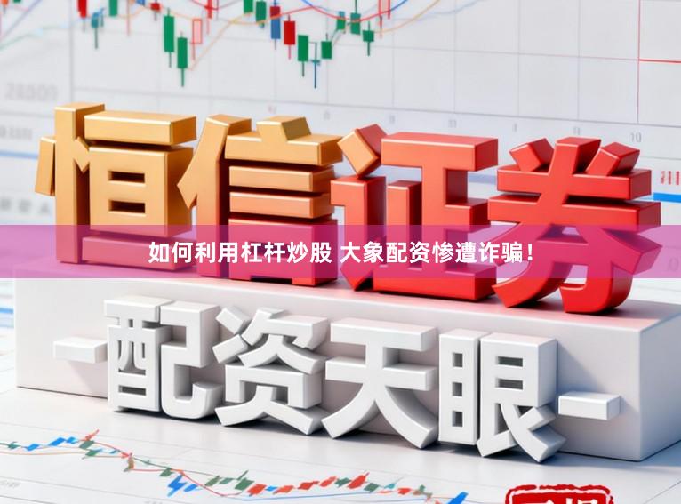 如何利用杠杆炒股 大象配资惨遭诈骗！